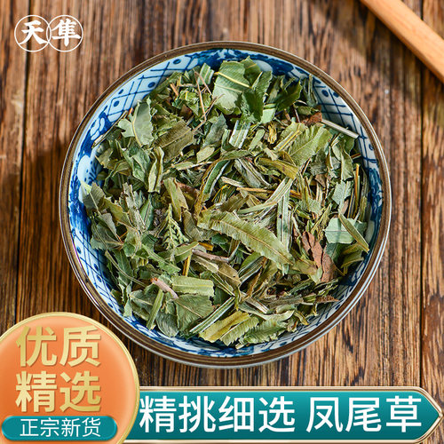 特级野生凤尾草中药材凤尾草