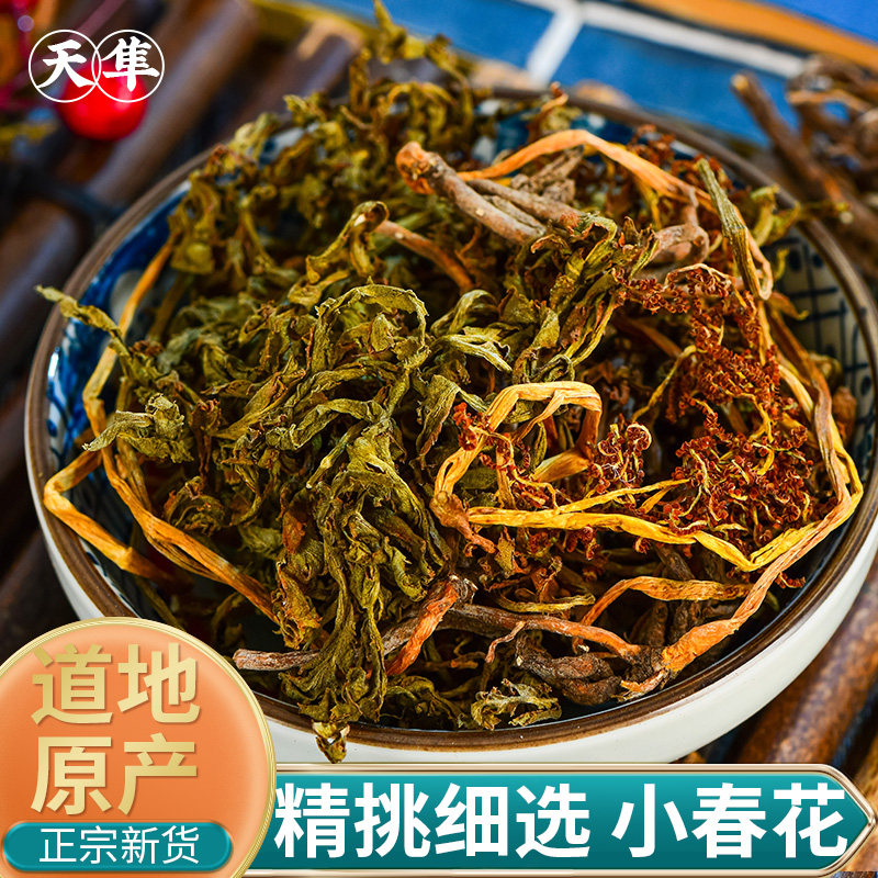 【地道无硫】一朵云中药材小春花破天云阴地蕨独立金鸡散血叶 - 实物图