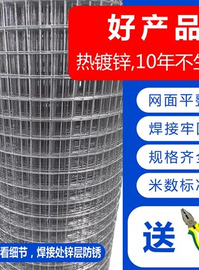 热镀锌电焊网铁丝网围栏网格钢丝网养鸡养殖护栏家用阳台防护栅栏