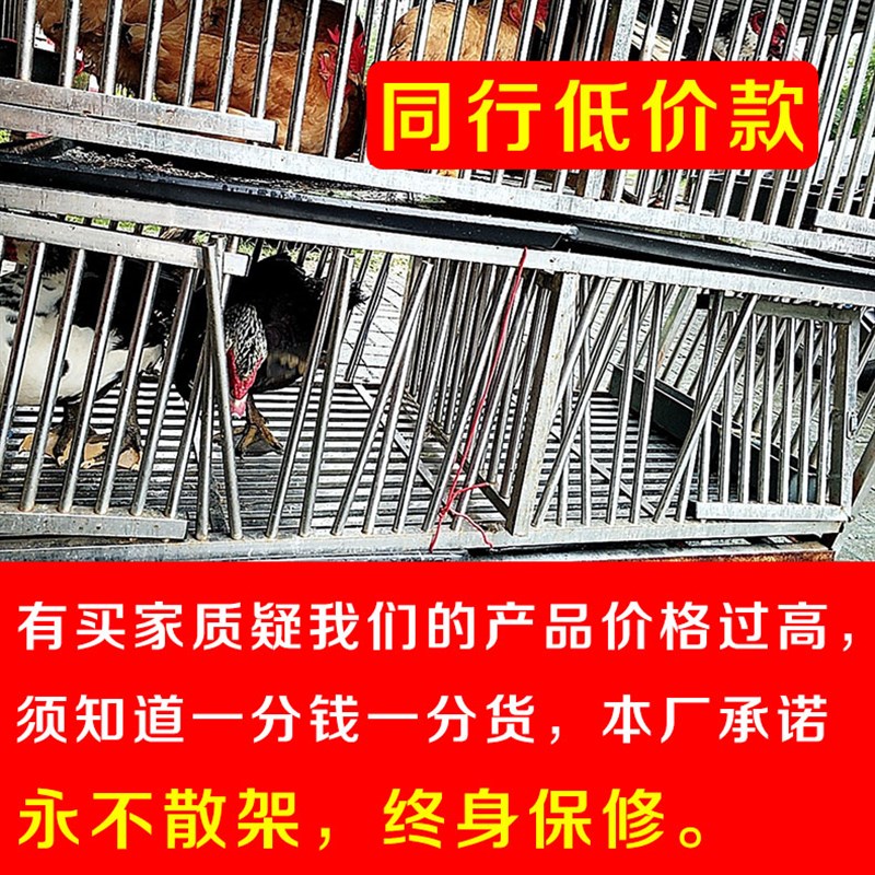 不锈钢自动滚蛋家用鸡笼子蛋鸡笼鸡窝防鸡吃蛋防啄蛋养殖鸭笼鹅笼