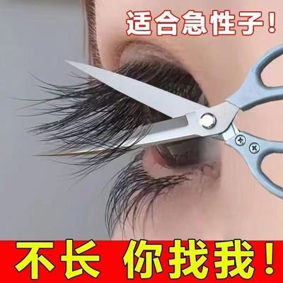 【新疆吾斯曼草棒】官方旗舰正品