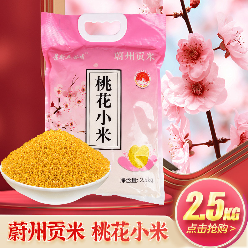 25年蔚县小米新米农家黄小米米油厚杂粮米小米粥桃花小米2.5kg