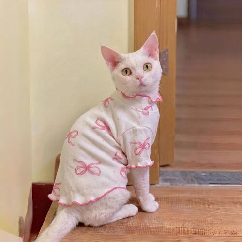 可爱蝴蝶结冰丝透气防掉毛猫背心