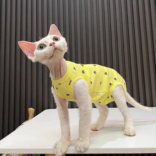 夏季 空调护肚防着凉四脚衣背心无毛猫衣服斯芬克斯猫德文