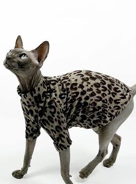 冰丝豹纹无毛猫衣服宠物成衣背心