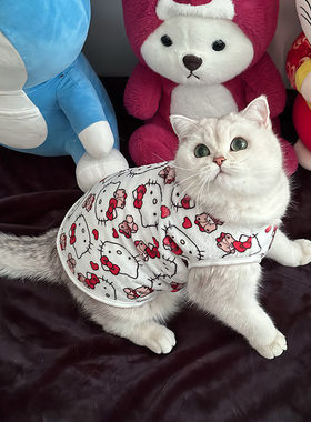 kt凯蒂猫宠物猫咪衣服秋冬季加厚法兰绒防掉毛套头背心式棉衣潮