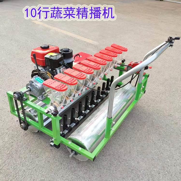 人力手推青萝卜白菜油播