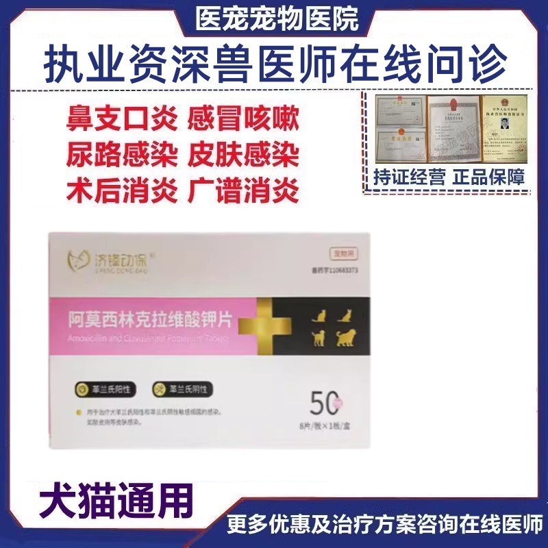 济锋动保消炎药感冒炎症犬猫通用