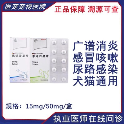 拜有利犬猫通用外科感染尿道疾病