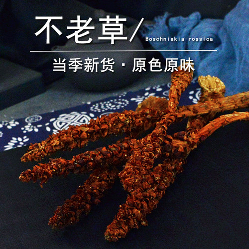 不老草中药材小药仙正品种植非野生长白山不老草粉草苁蓉干独根草 - 封面