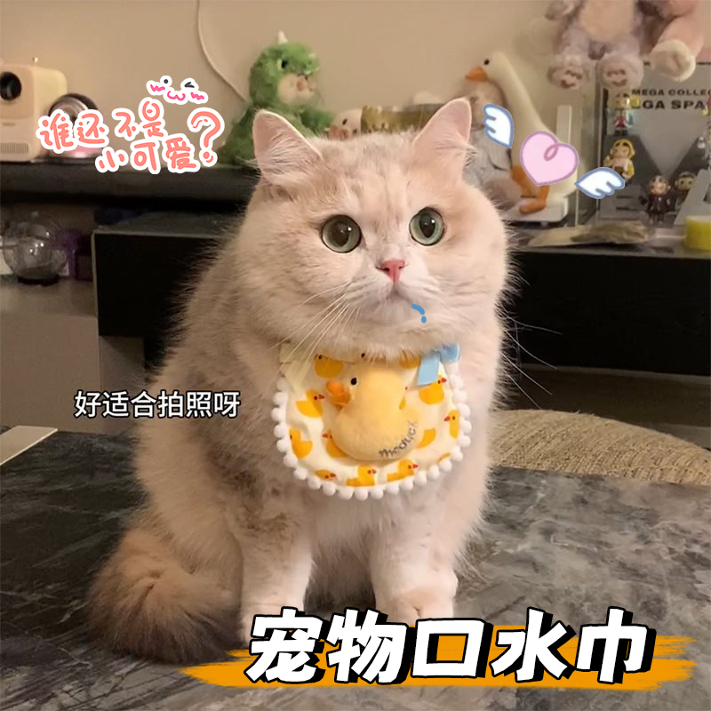 猫咪可爱围兜宠物蕾丝布艺口水巾手工编织拍照饰品围脖装饰项圈,宠物/宠物食品及用品,围巾/口水巾,淘宝优惠券,粉丝福利购,淘宝优惠卷