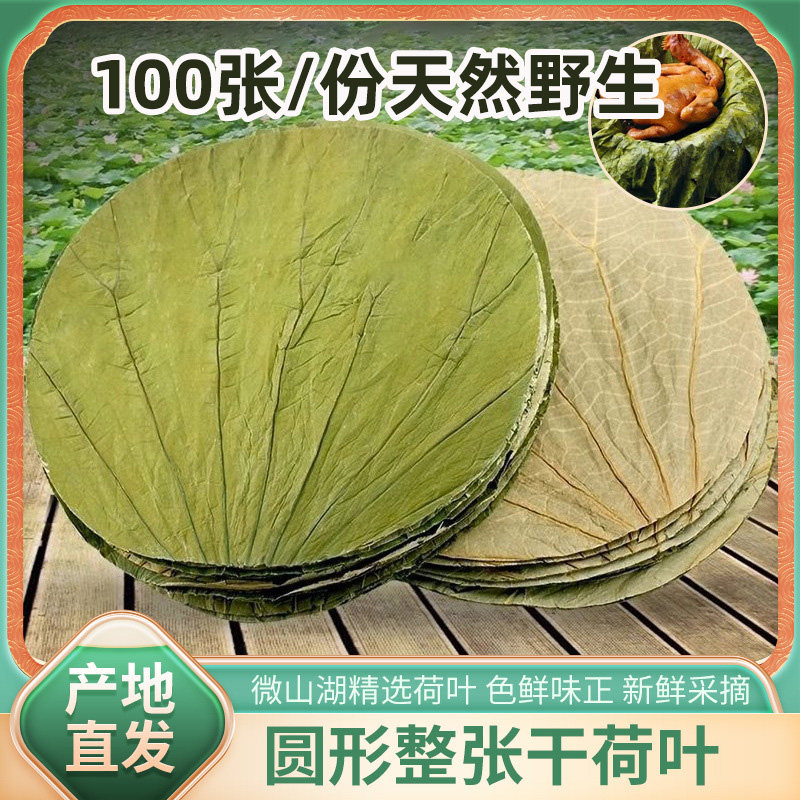 糯米鸡专用荷叶整张糯米鸡荷叶茶叶天然无硫微山湖天然100张圆形