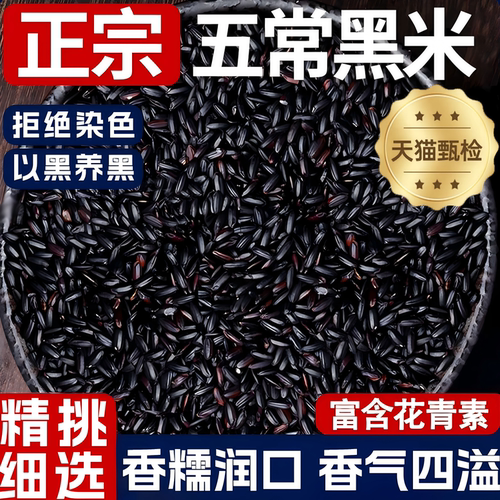 东北有机黑米2026新米五常正品