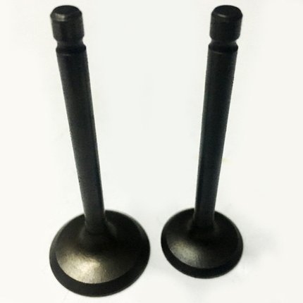 摩托车配件天剑125 天琪YBR125 JYM125天剑气门 进排气门杆