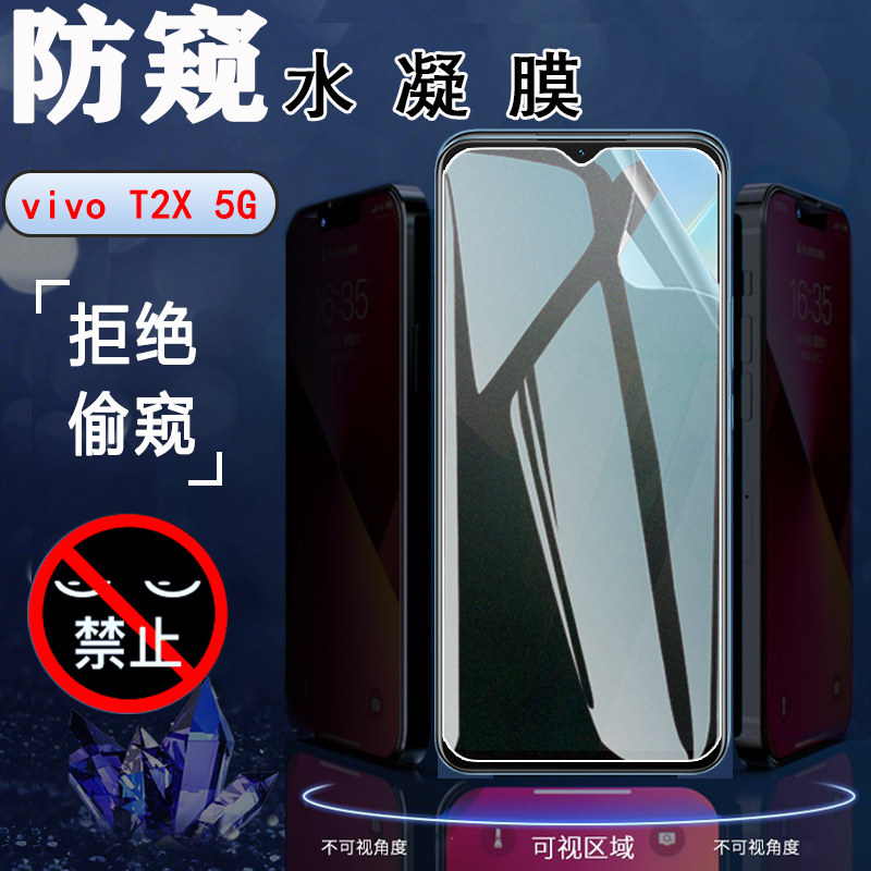 昌想vivoT25G防窥磨砂水凝膜保护