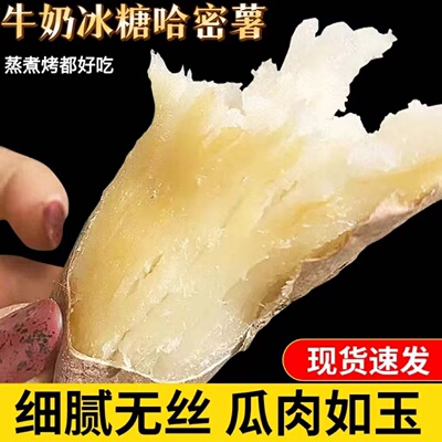 农家白哈蜜冰糖薯软糯香甜粗粮