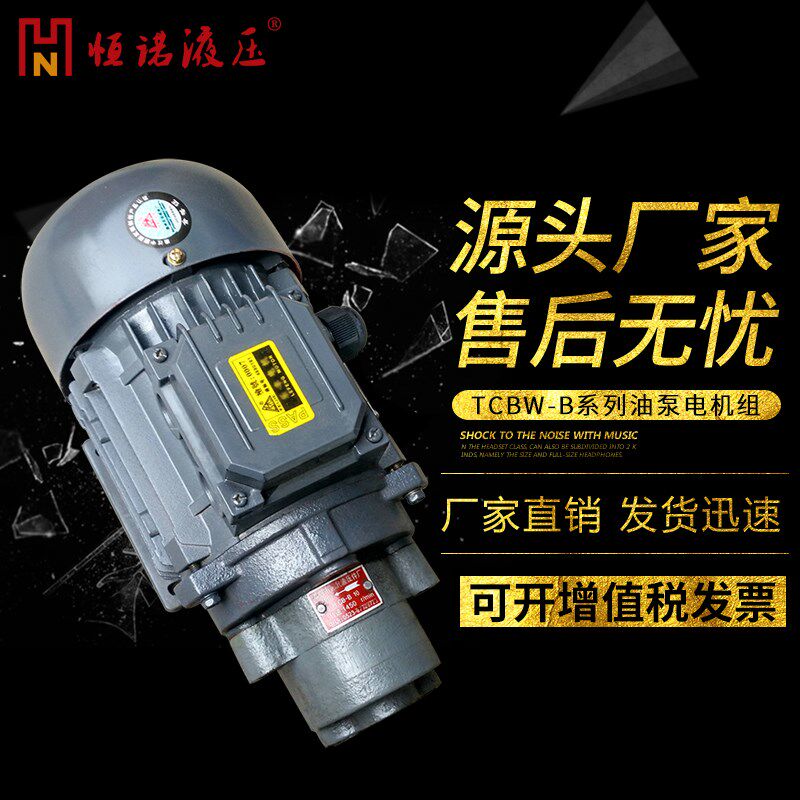 CB-B10JZ B2.5 B4 B6 B16直插式齿轮油泵电机组TCBW锯床液压泵B25