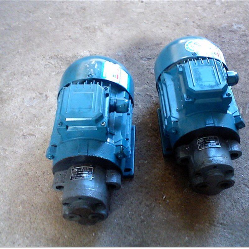 TCBW-B2.5/CBW-B4/CB-BW6插入式齿轮油泵电机组,插入式电机组