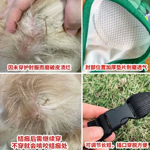 Золотой мао ​​локоть по уходу за локоном Pet Dog Contive Conticate наложница наложницы против -пышной серой грязные перила Labrador средняя большая собака