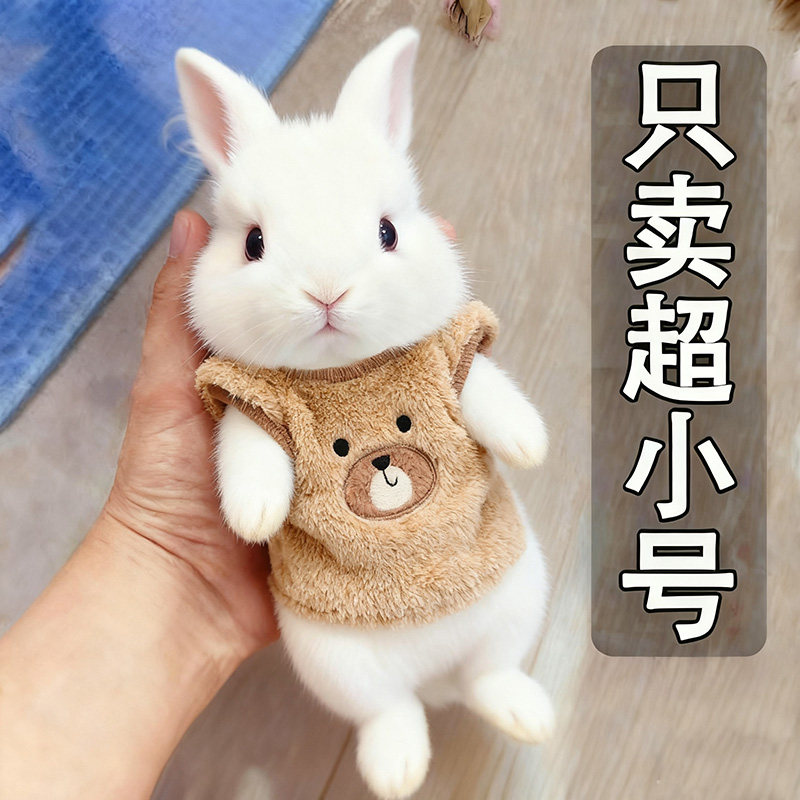 侏儒兔冬季保暖衣服超小号1斤内幼兔棉衣防寒冷龙猫荷兰猪的衣服