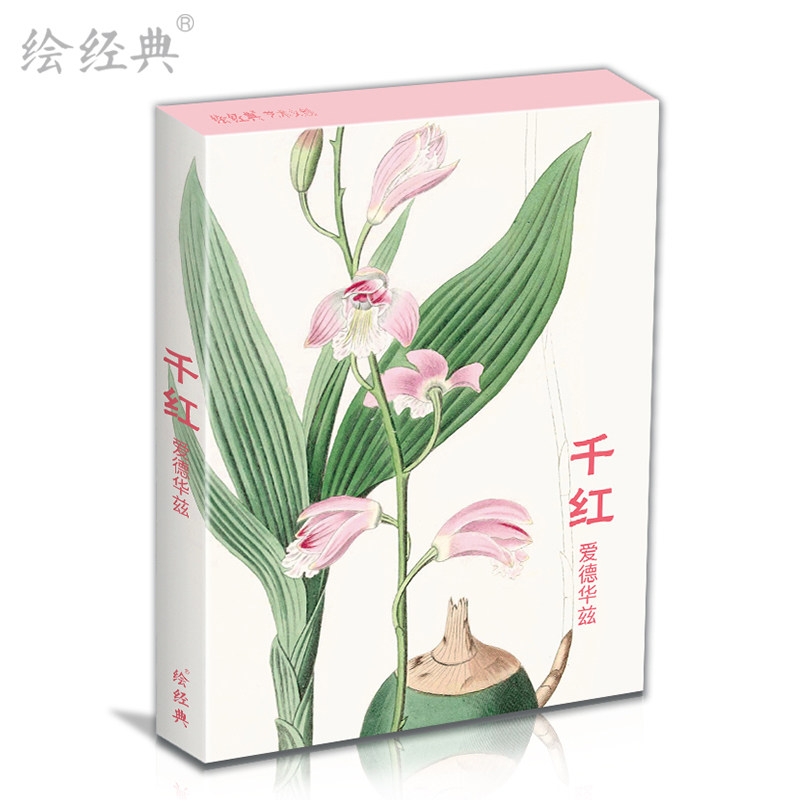 千红明信片爱德华兹32张花卉简约文艺日系复古风生日贺卡创意礼物