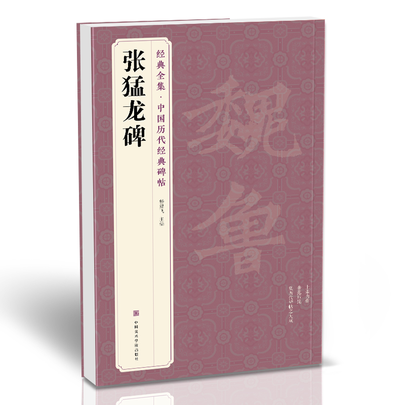 《张猛龙碑》中国历代碑帖精粹译文简体注释北魏楷书毛笔临摹帖