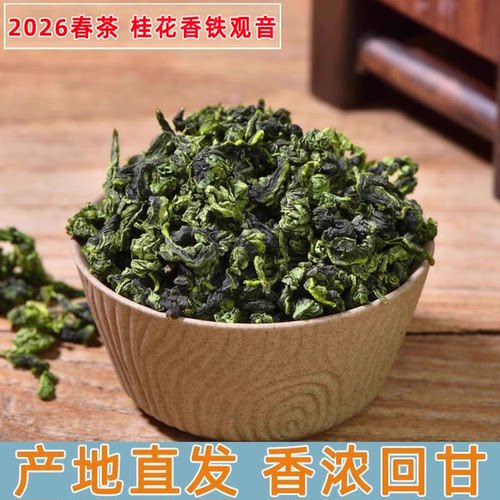 特级1725桂花香安溪铁观音茶叶