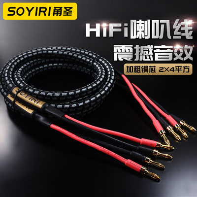 SOYIRI 纯铜香蕉头主音箱喇叭线HIFI发烧音频功放加粗音响连接线