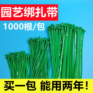 绿色园艺扎带植物藤蔓捆绑固定塑料绑扎带 价格实惠 条数多