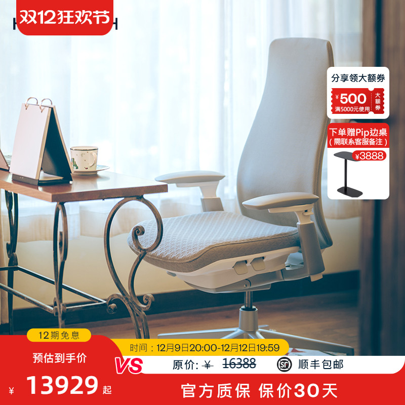 海沃氏人体工学椅独特大箭头面料