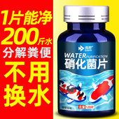 硝化细菌鱼缸用硝化菌片净水质澄清澈稳定净化水族消化活菌养鱼用