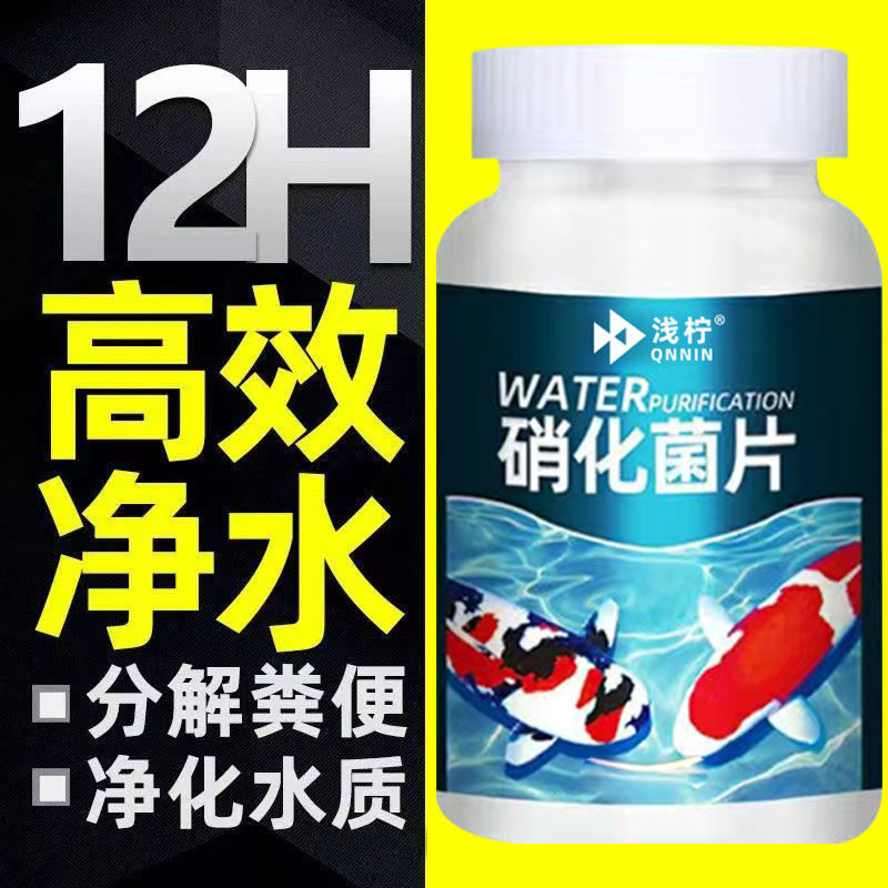 养鱼用硝化细菌鱼缸净水剂水族硝化菌片水质稳定分解鱼便免换水片,宠物/宠物食品及用品,硝化细菌,淘宝优惠券,粉丝福利购,淘宝优惠卷