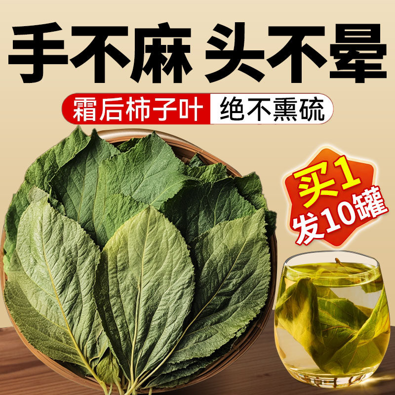 特级柿子叶霜降打过的干柿子三高茶叶新鲜茶血正品压官方旗舰店cc