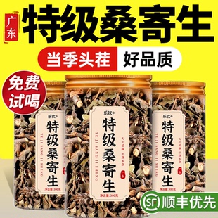 特级桑寄生野生中药材新鲜泡茶泡水喝的功效作用正品官方旗舰店zz