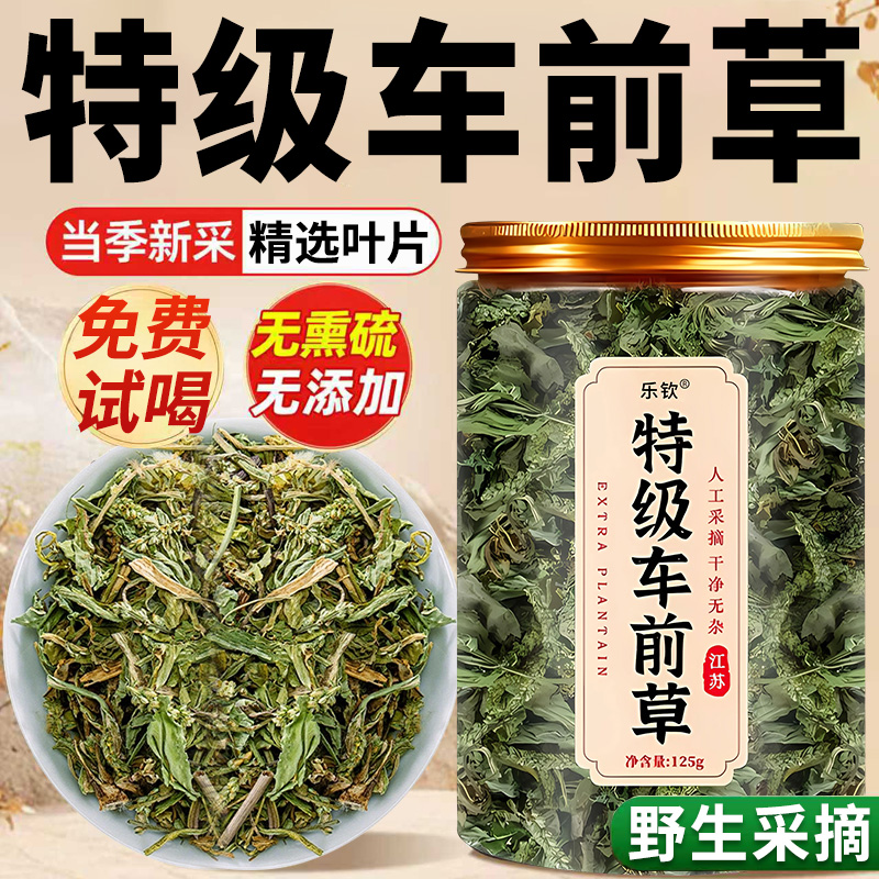 【特优级精选】特级野生车前草