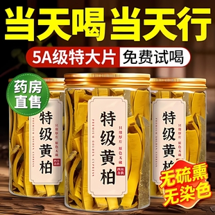 黄柏中药材正品野生补精强肾男性敏感调理黄柏苍术二妙组合泡水zz