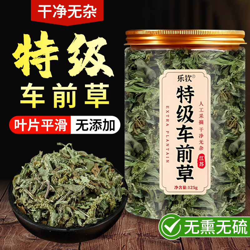 【特优级精选】特级车前草中药材