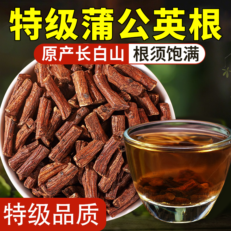 蒲公英根茶长白山天然野生中药材炒熟特级蒲公英根去旗舰店正品zz