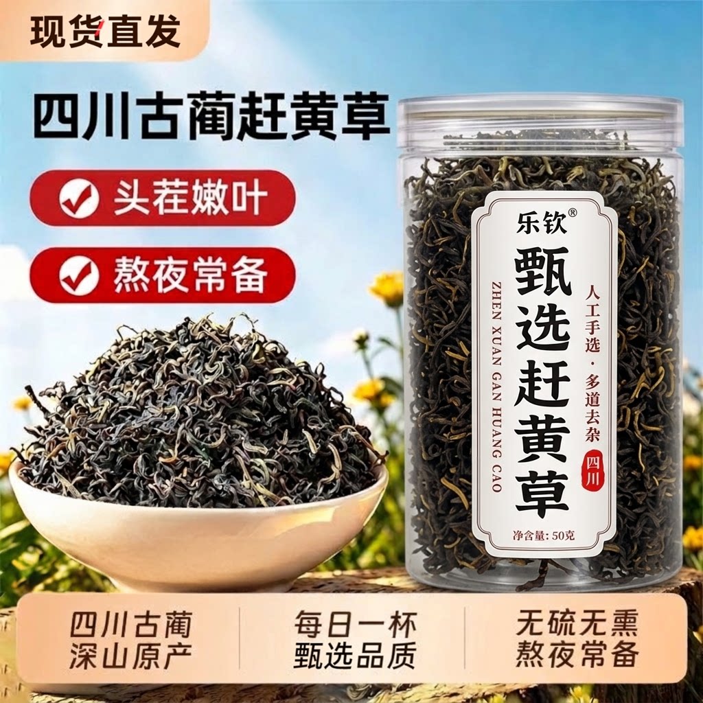 乐饮四川古蔺赶黄草中药材茶养生茶日常休闲茶饮头茬嫩叶罐装 zz