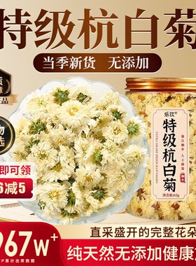 特级正宗桐乡特产新鲜杭白菊胎菊2025新货菊花茶正品官方旗舰店zz