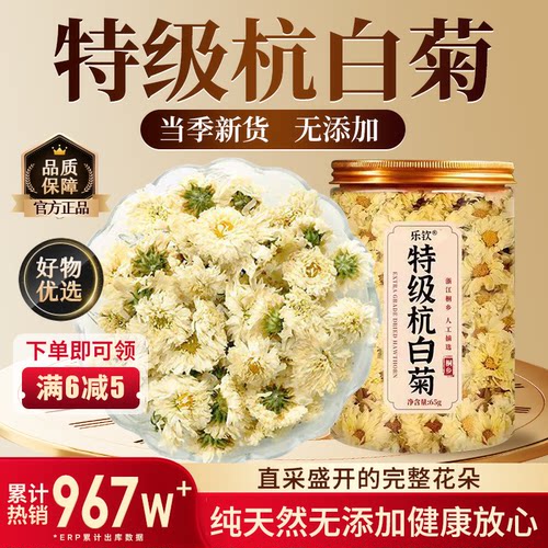 【特优级精选】特级杭白菊中药材