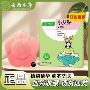 小艾贴艾脐贴艾草贴【老牌国货】云南本草萃取倾城官方正品1yy