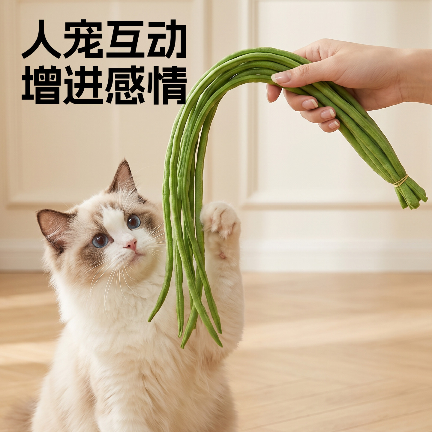 仿真豆橛子鞭子逗猫棒猫咪耐咬解闷互动玩具软绵不伤猫打猫咪神器