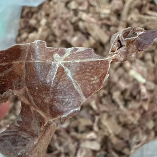 狗狗冻干零食牛肝皮辅食拌饭耐咀嚼清洁牙齿补血美毛中小型犬泰迪