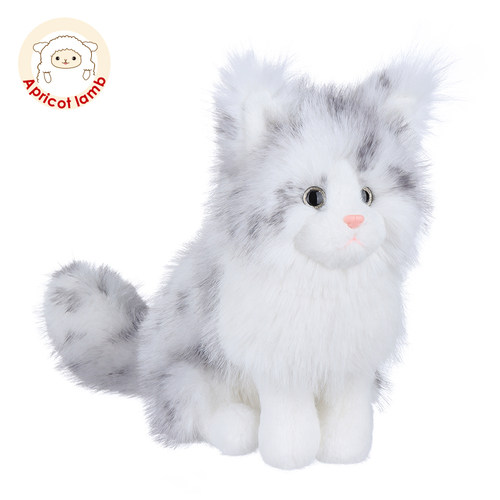 Apricotlamb银斑缅因猫洛洛