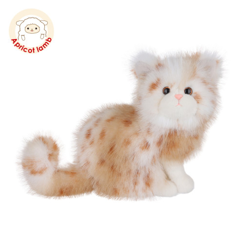 Apricotlamb橘斑波斯猫玩偶