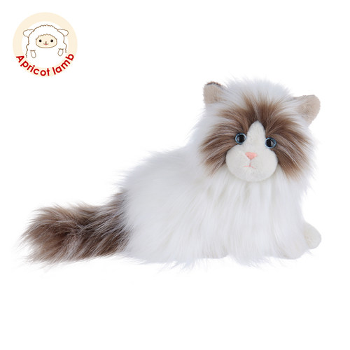 Apricotlamb双色布偶猫