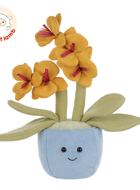 Apricot lamb黄色蝴蝶兰盆栽玩偶睡觉抱公仔毛绒玩具生日礼物女生