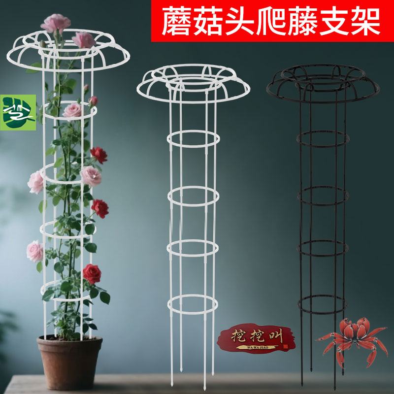 爬藤植物造型花架多层可加高