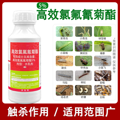 5%高效氯氟氰菊酯菜青虫杀虫剂
